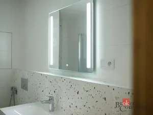 Prodej bytu 2+kk, Plzeň - Jižní Předměstí, Železná, 55 m2