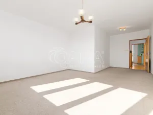 Prodej bytu 3+1, České Budějovice - České Budějovice 3, J. Š. Baara, 81 m2