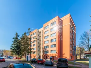 Prodej bytu 3+1, České Budějovice - České Budějovice 3, J. Š. Baara, 81 m2