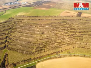 Prodej pole, Morkůvky, 2424 m2