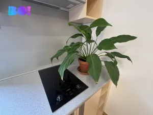 Pronájem kanceláře, Prostějov, Máchova, 65 m2