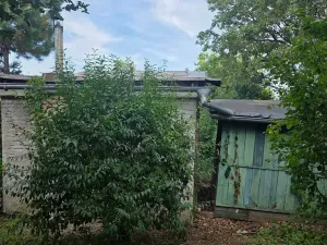 Prodej chaty, Brno, 24 m2