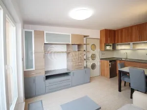 Pronájem bytu 1+kk, Praha - Holešovice, U průhonu, 31 m2