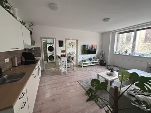 Pronájem bytu 3+kk, Radnice, náměstí Kašpara Šternberka, 53 m2