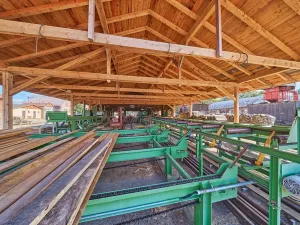 Prodej výrobních prostor, Seletice, 19535 m2