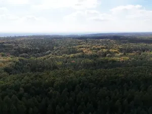 Prodej výrobních prostor, Seletice, 19535 m2