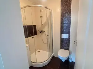 Pronájem rodinného domu, Prostějov, Lomená, 300 m2