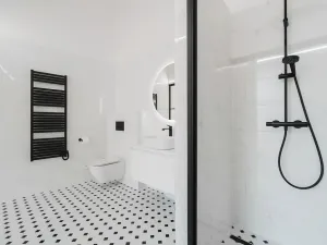 Pronájem bytu 5+kk, Praha - Nové Město, Mezibranská, 175 m2