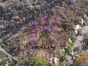 Pronájem zahrady, Kryry, 367 m2