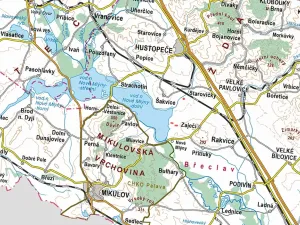 Prodej pole, Šakvice, 6298 m2