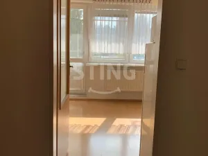 Pronájem bytu 1+kk, Nový Jičín, B. Martinů, 30 m2
