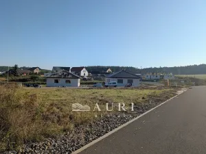 Prodej pozemku pro bydlení, Olešná, 1130 m2