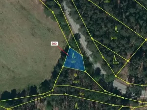 Dražba lesa, Náměšť nad Oslavou, 177 m2