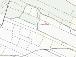 Dražba pole, Olešnice, 318 m2