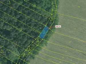 Dražba lesa, Milavče, 222 m2