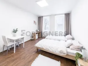 Pronájem bytu 1+kk, Brno, Bratislavská, 25 m2