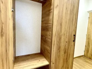 Pronájem bytu 1+1, Ostrava - Hrabůvka, Dr. Martínka, 37 m2