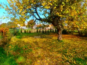 Prodej zahrady, Znojmo, 1330 m2