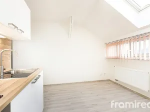 Pronájem bytu 1+kk, Brno - Pisárky, Hlinky, 19 m2