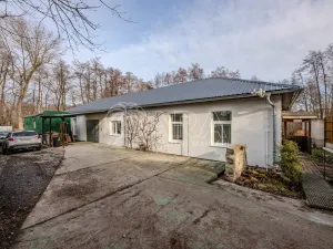 Pronájem obchodního prostoru, Vestec, Vestecká, 252 m2
