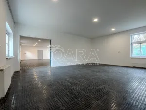 Pronájem obchodního prostoru, Vestec, Vestecká, 252 m2