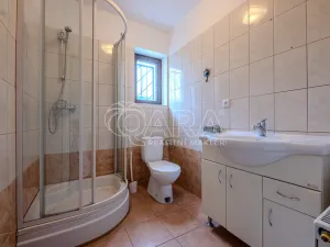 Pronájem obchodního prostoru, Vestec, Vestecká, 252 m2