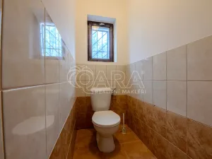 Pronájem obchodního prostoru, Vestec, Vestecká, 252 m2