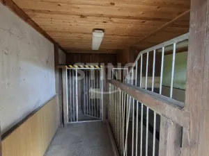 Pronájem zemědělského objektu, Tršice - Přestavlky, 190 m2