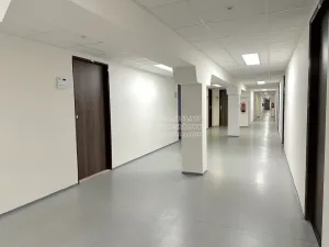 Pronájem kanceláře, Praha - Karlín, Thámova, 24 m2