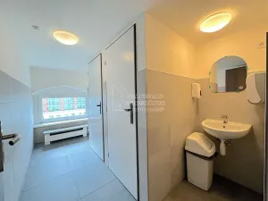 Pronájem kanceláře, Praha - Karlín, Thámova, 24 m2