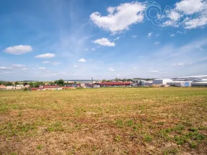 Prodej komerčního pozemku, Dolní Kralovice, 10347 m2