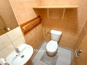 Prodej - jiné, Znojmo - Konice, 98 m2