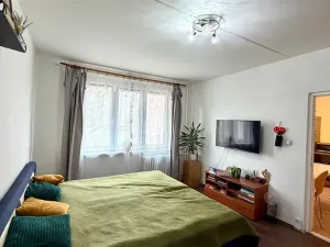 Pronájem bytu 1+1, Cheb, Stavbařů, 37 m2