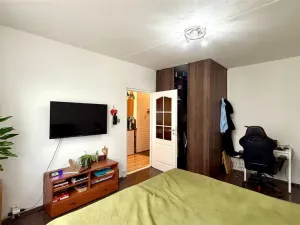 Pronájem bytu 1+1, Cheb, Stavbařů, 37 m2