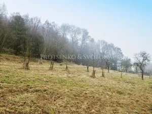 Prodej komerčního pozemku, Letovice, Nádražní, 3080 m2