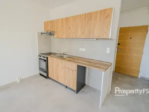 Pronájem bytu 1+1, Ústí nad Labem - Neštěmice, Hluboká, 37 m2