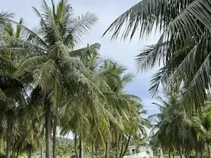 Prodej bytu 2+kk, Bang Sare, Thajsko, 85 m2