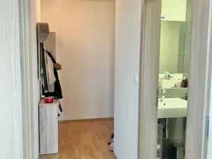 Pronájem bytu 1+kk, Brno, Košinova, 38 m2