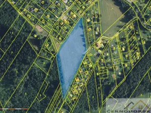 Prodej louky, Česká Třebová, 12174 m2