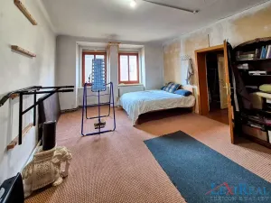 Prodej vícegeneračního domu, Kasejovice, 433 m2