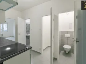 Pronájem bytu 2+1, Praha - Košíře, Vrchlického, 46 m2