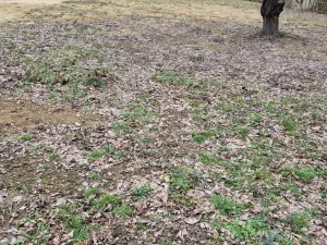 Prodej pozemku pro bydlení, Vlastějovice - Pavlovice, 1021 m2