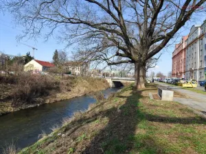 Prodej bytu 2+kk, Brno - Černovice, Zvěřinova, 43 m2