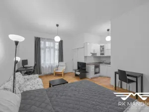 Prodej bytu 1+kk, Praha - Nové Město, Podskalská, 28 m2