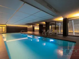 Pronájem bytu 4+kk, Praha - Smíchov, Holečkova, 207 m2