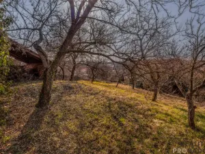 Prodej chalupy, Horní Dunajovice, 350 m2