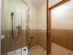 Pronájem bytu 1+kk, Praha - Zličín, Sazovická, 29 m2