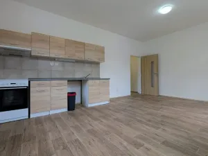 Pronájem bytu 1+kk, Peruc, U Koupaliště, 32 m2
