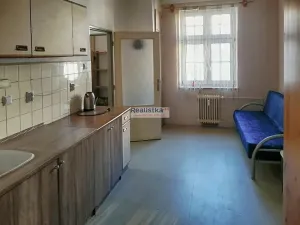 Prodej bytu 1+1, Plzeň, Guldenerova, 48 m2