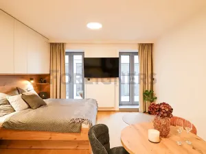 Pronájem bytu 1+kk, Brno, Cyrilská, 40 m2